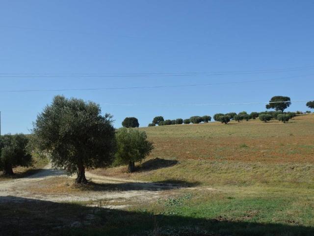 Terreno in vendita a Contrada Chiarino, Marche