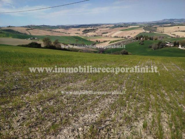 Terreno in vendita a Contrada Bagnolo, Marche
