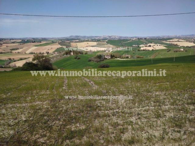 Terreno in vendita a Contrada Bagnolo, Marche
