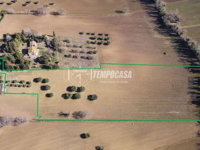 Terreno in vendita a Contrada Valdice, Marche