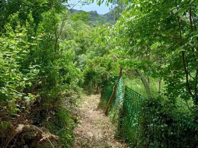 Terreno in vendita a Recco, Liguria