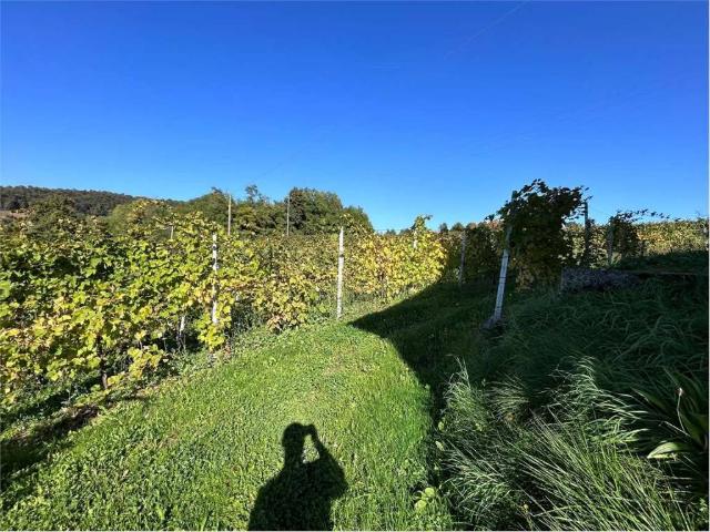 Terreno in vendita a Refrontolo, Veneto