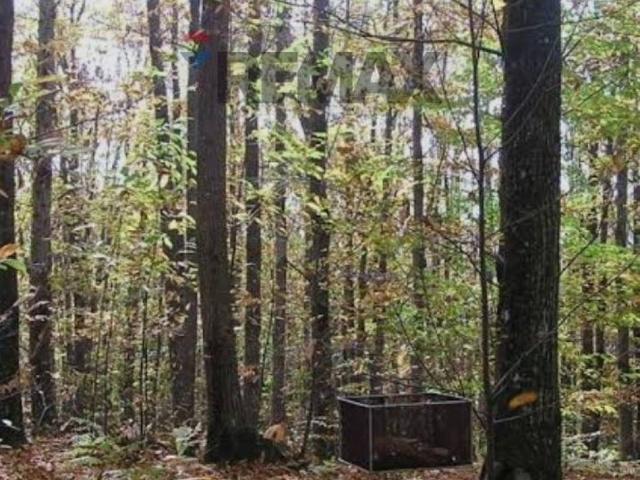 Terreno in vendita a Unione di Comuni Valdarno e Valdisieve, Reggello