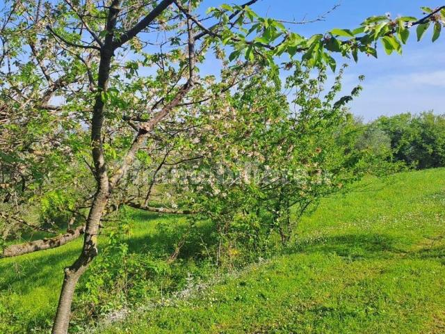Terreno in vendita a Unione di Comuni Valdarno e Valdisieve, Reggello