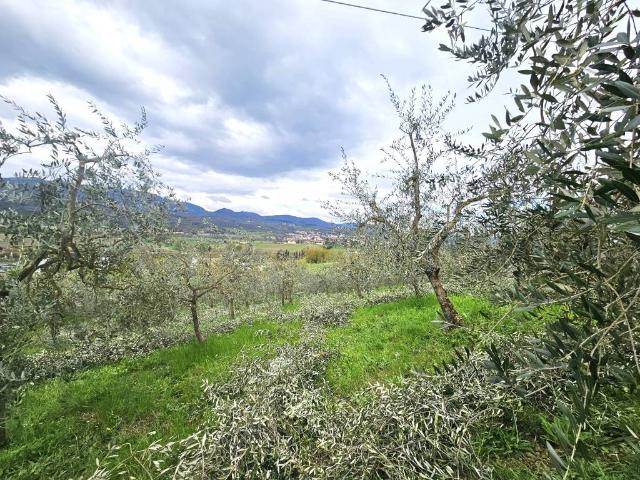 Terreno in vendita a Unione di Comuni Valdarno e Valdisieve, Reggello