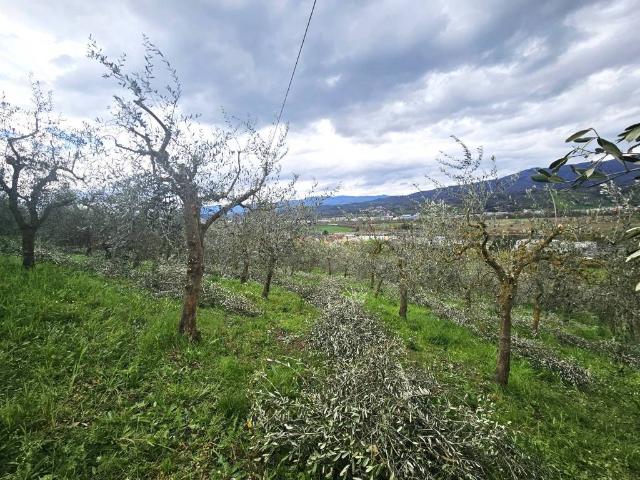 Terreno in vendita a Unione di Comuni Valdarno e Valdisieve, Reggello