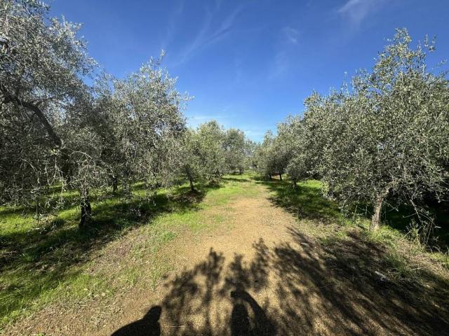 Terreno in vendita a Unione di Comuni Valdarno e Valdisieve, Reggello