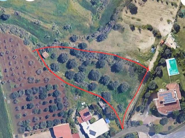 Terreno in vendita a Gallina, Calabria
