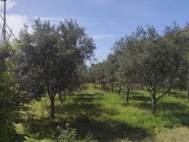 Terreno in vendita a Mortara, Reggio di Calabria