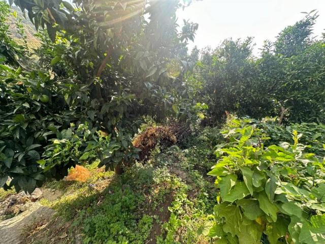 Terreno in vendita a Calabria, Reggio Calabria