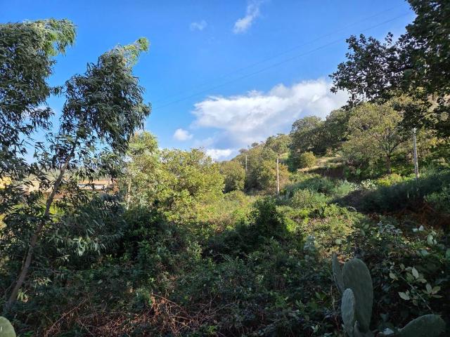 Terreno in vendita a Calabria, Reggio Calabria