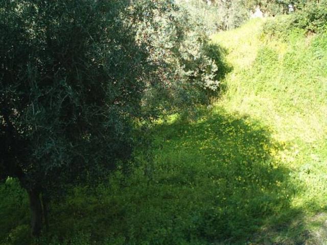 Terreno in vendita a Gallina, Calabria
