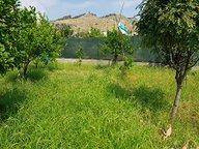 Terreno in vendita a Calabria, Reggio Calabria