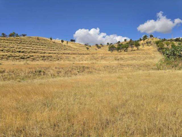 Terreno in vendita a Bocale, Calabria