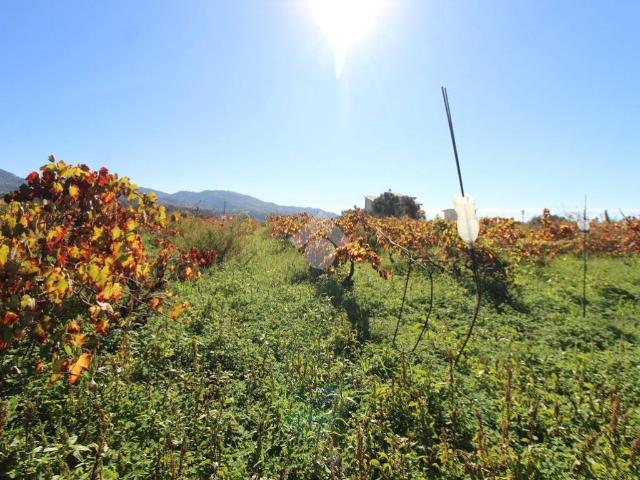 Terreno in vendita a Calabria, Reggio Calabria