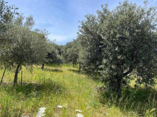 Terreno in vendita a Calabria, Reggio Calabria