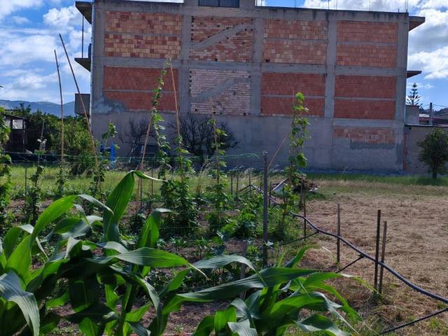 Terreno in vendita a Calabria, Reggio Calabria