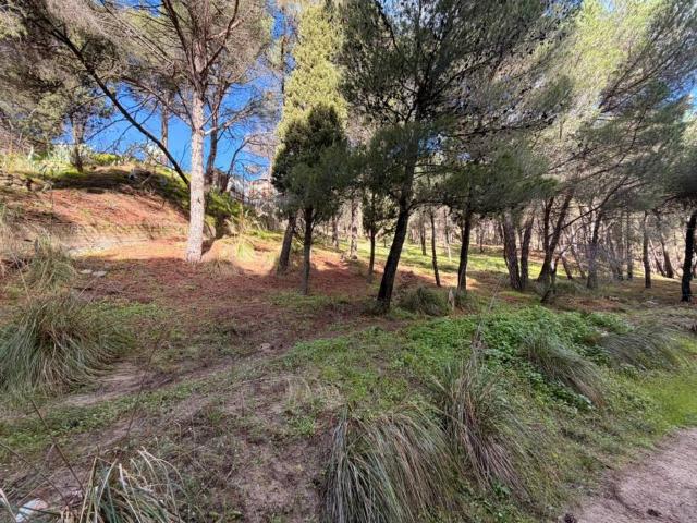 Terreno in vendita a Trizzino, Calabria