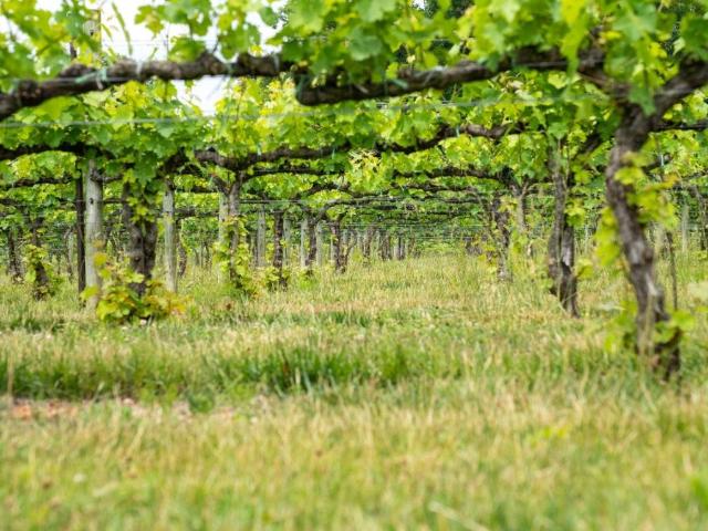 Terreno in vendita a Buco del Signore, Re