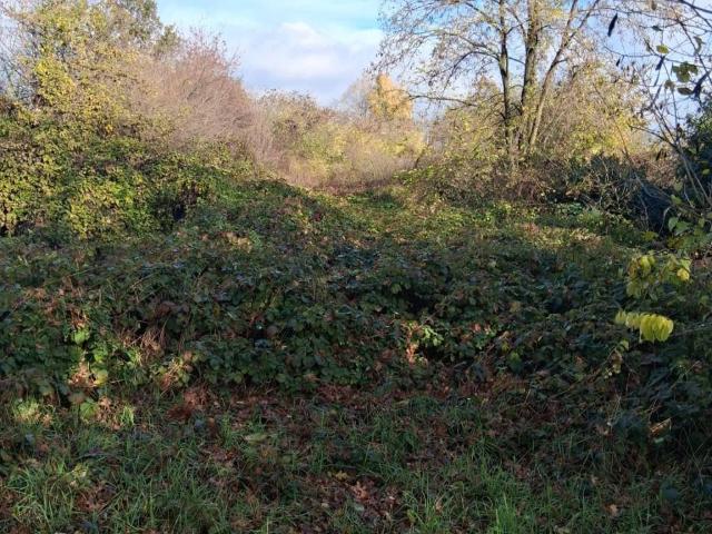 Terreno in vendita a Re, Reggio Emilia