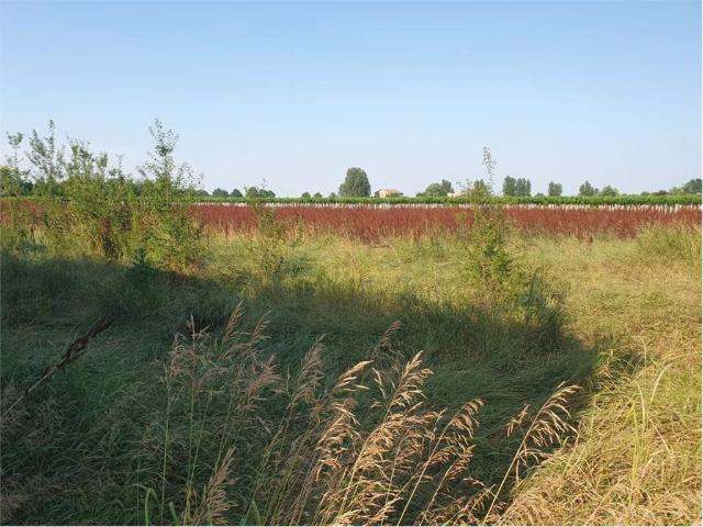 Terreno in vendita a Massenzatico, Re