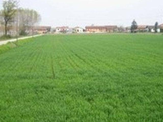 Terreno in vendita a Pieve Modolena, Re