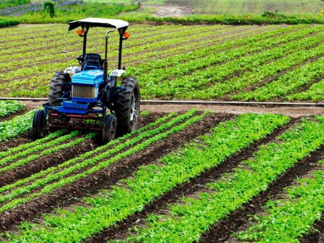 Terreno in vendita a Bassa Reggiana, Re