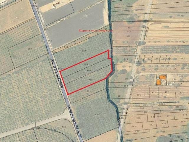 Terreno in vendita a Calabria, Cosenza
