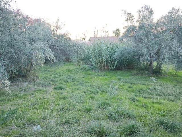 Terreno in vendita a Calabria, Cosenza