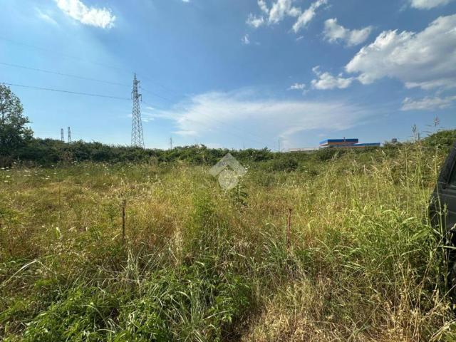 Terreno in vendita a Calabria, Cosenza
