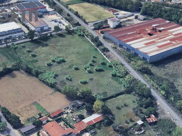 Terreno in vendita a Calabria, Cosenza