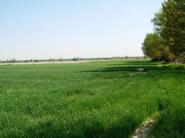 Terreno in vendita a Rezzato, Brescia