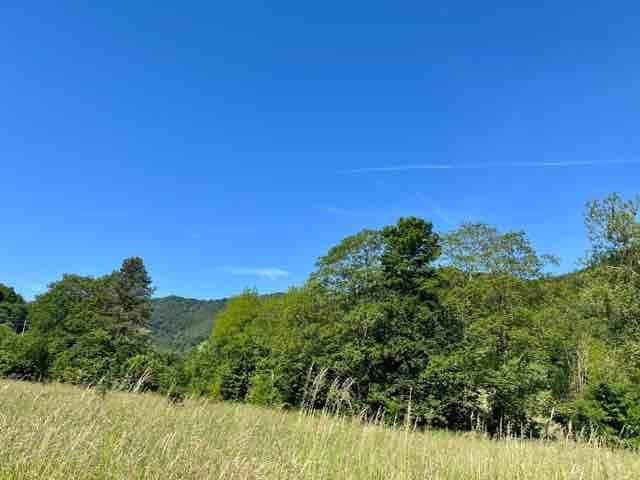 Terreno in vendita a Rezzoaglio, Liguria