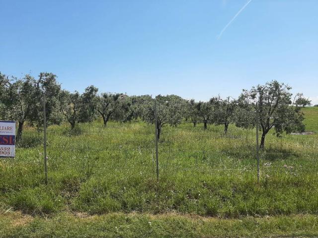 Terreno in vendita a Quadro, Roma Capitale