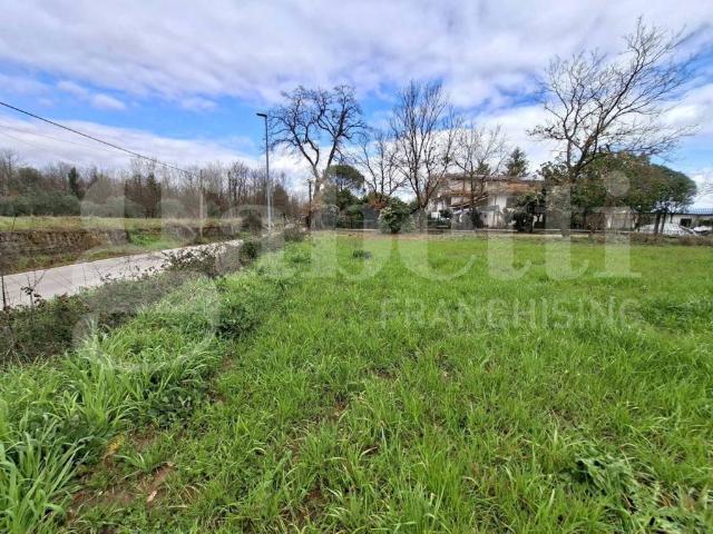 Terreno in vendita a Riardo, Campania