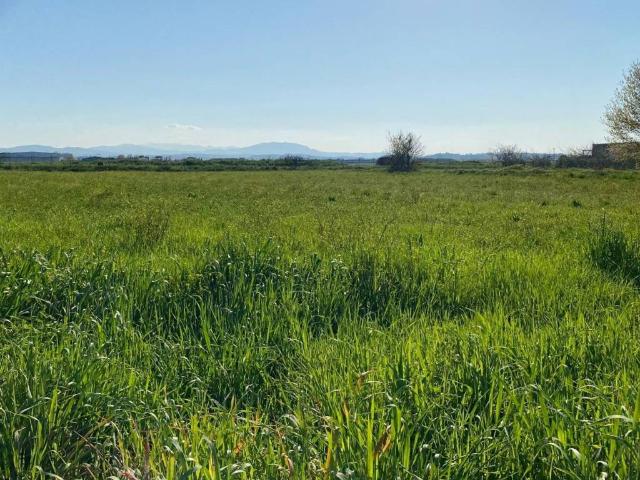 Terreno in vendita a Riccione, Reggio Emilia