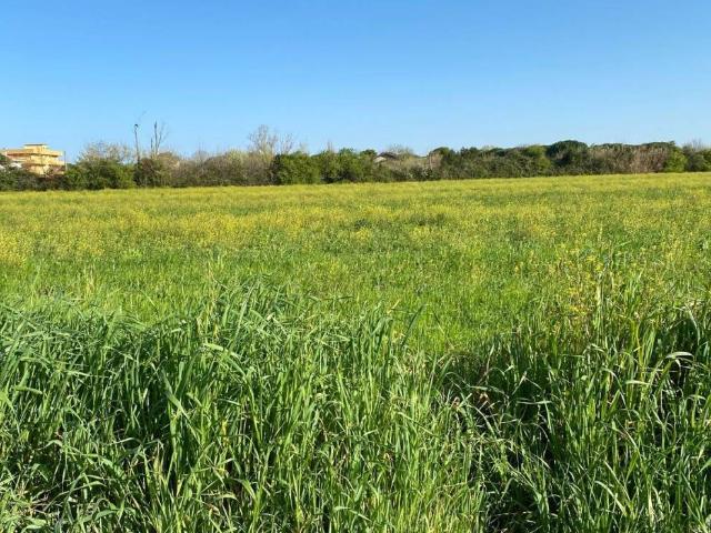 Terreno in vendita a Riccione, Reggio Emilia