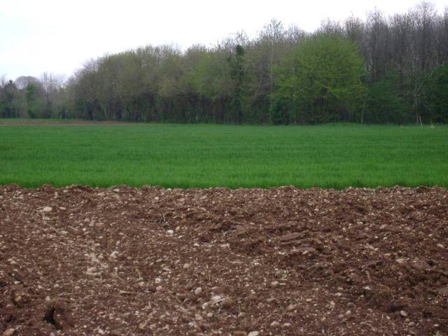 Terreno in vendita a Fonte, Riese Pio X
