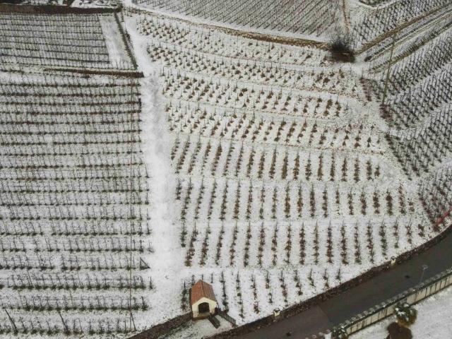 Terreno in vendita a Burggrafenamt - Burgraviato, Rifiano - Riffian