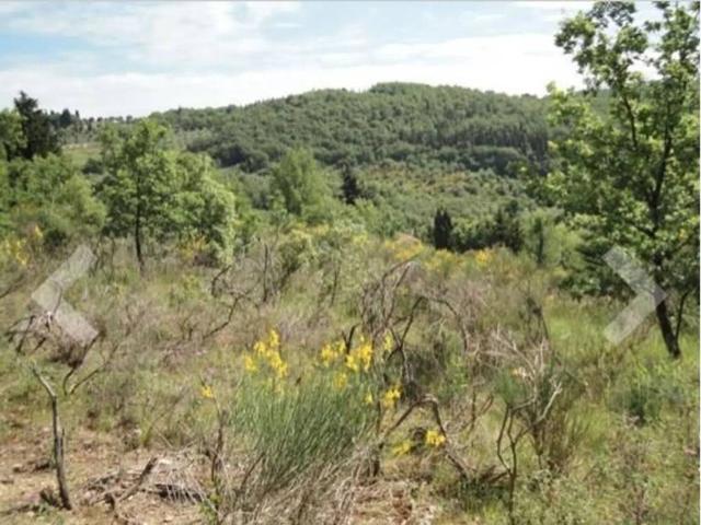 Terreno in vendita a Rignano Sull'arno, Toscana