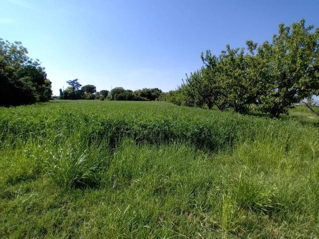 Terreno in vendita a Rimini, Reggio Emilia