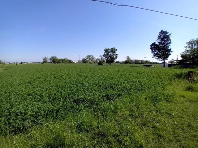 Terreno in vendita a Rimini, Reggio Emilia