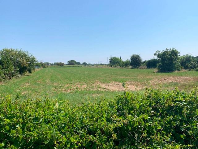 Terreno in vendita a Rimini, Reggio Emilia