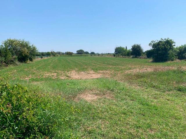 Terreno in vendita a Rimini, Reggio Emilia