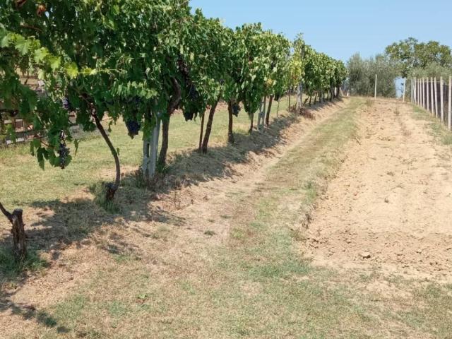 Terreno in vendita a La Zingarina, Rimini
