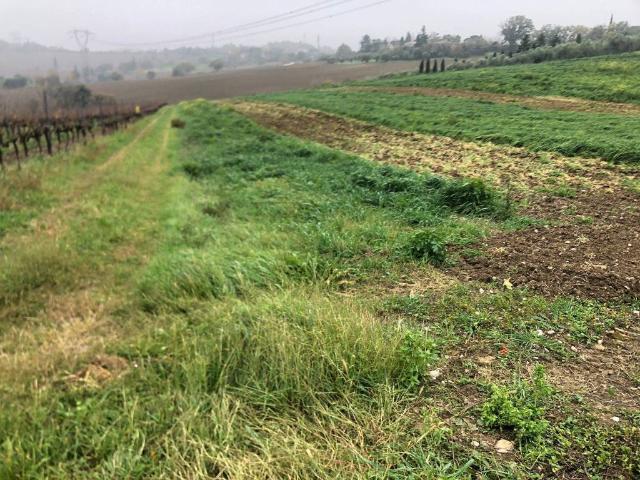 Terreno in vendita a Rimini, Reggio Emilia