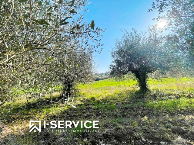 Terreno in vendita a Rimini, Reggio Emilia