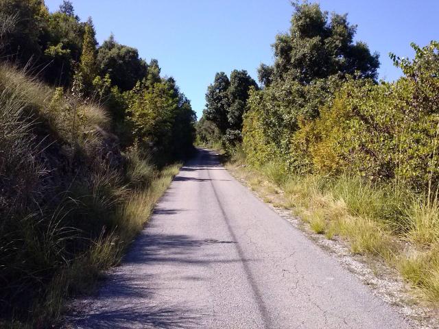 Terreno in vendita a Roma Capitale, Lazio