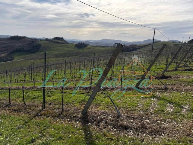 Terreno in vendita a Unione della Romagna Faentina, Riolo Terme