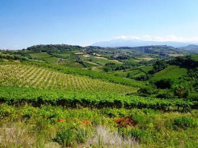 Terreno in vendita a Ripa Teatina, Abruzzo